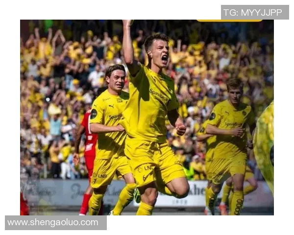 奥德足球：探索这项运动的魅力与发展历程，激发年轻人热爱足球的热情