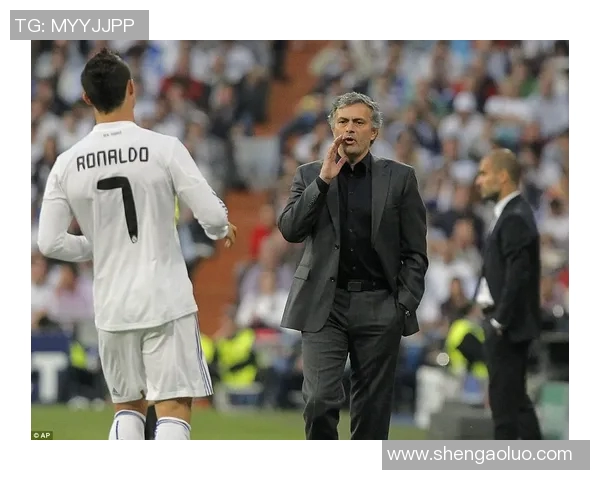 足球明星9号的传奇之路与辉煌成就揭秘