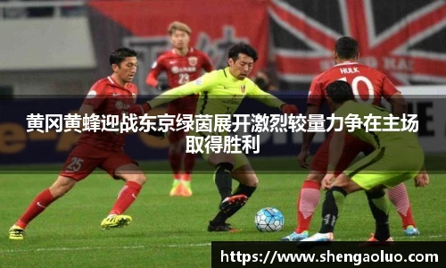 黄冈黄蜂迎战东京绿茵展开激烈较量力争在主场取得胜利