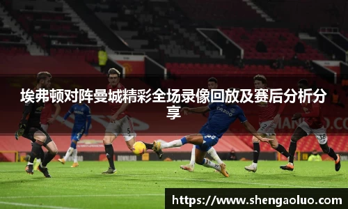 埃弗顿对阵曼城精彩全场录像回放及赛后分析分享